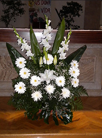 Floristería Eli flores blancas
